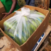 DF GREEN PLANTAINS