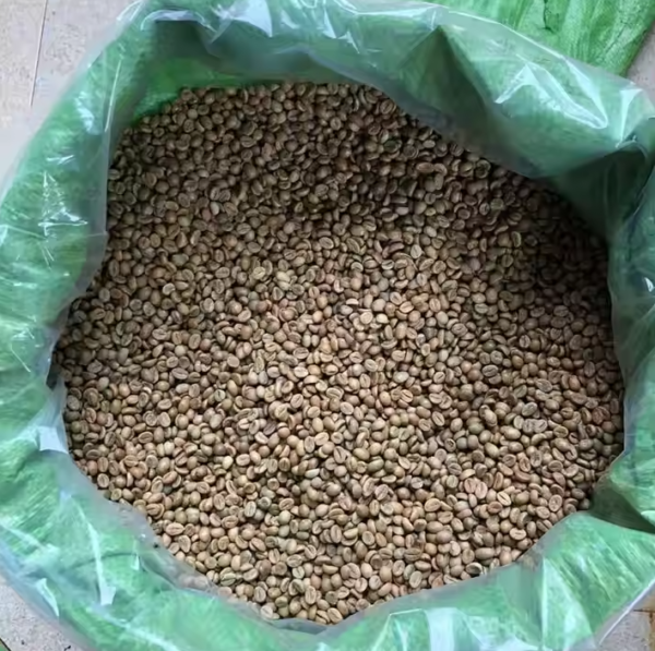 DF ARABICA COFFEE - Image 2