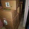 DF GREEN PLANTAINS - Image 4